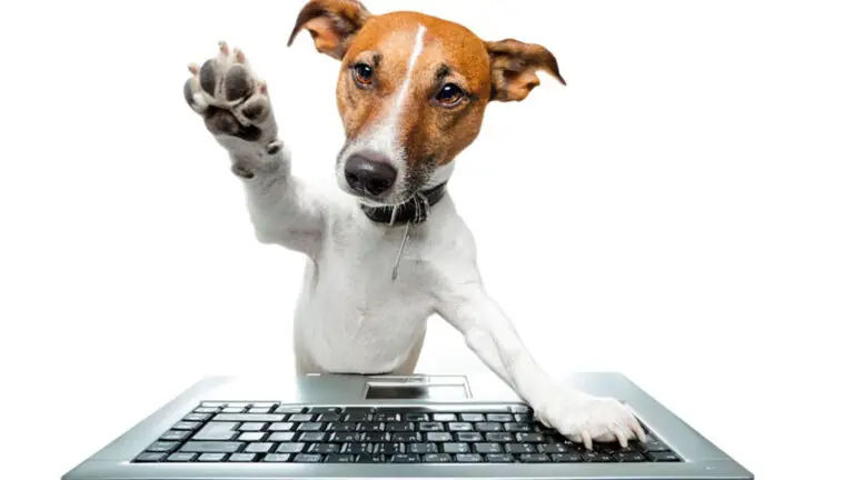 Artistas apoiam criação de Delegacia de Proteção Animal no ABC