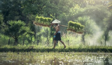 Pequenos da agricultura devem investir em inovação