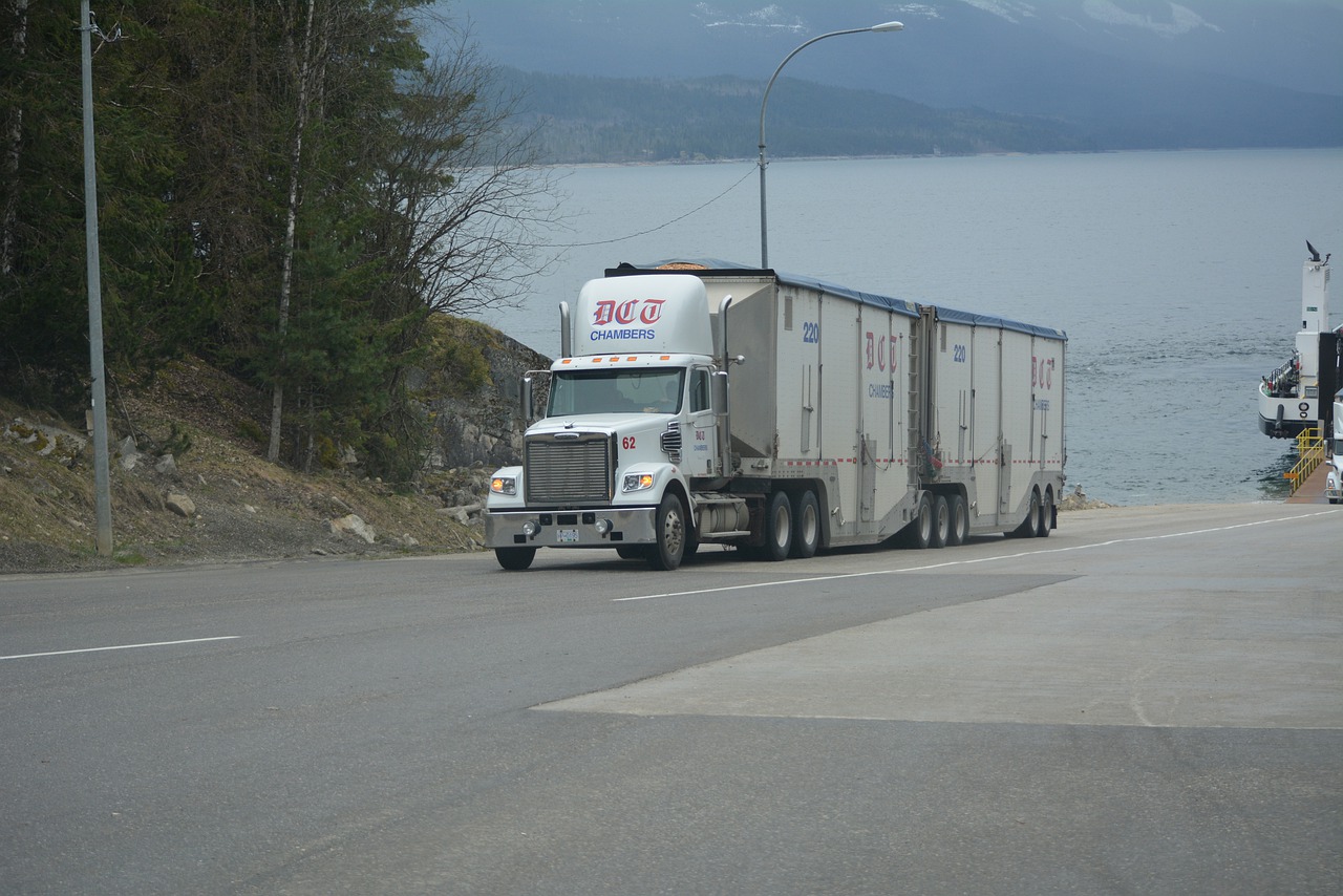 caminhoneiros/ transportes