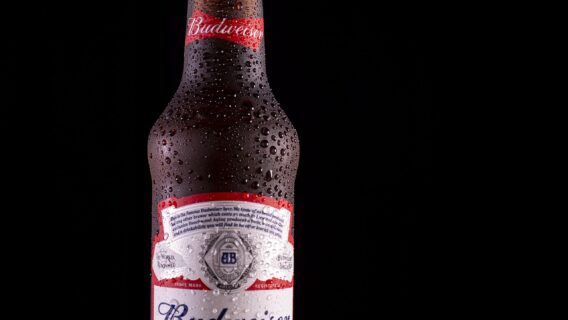 Budweiser Mansion volta a agitar a noite paulistana