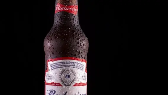 Budweiser Mansion volta a agitar a noite paulistana