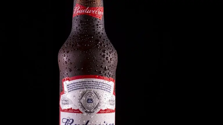 Budweiser Mansion volta a agitar a noite paulistana