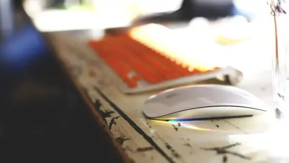 Empreendedor da IDXP diz que tirou sorte grande na loteria do ovário