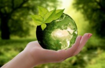 Sustentabilidade