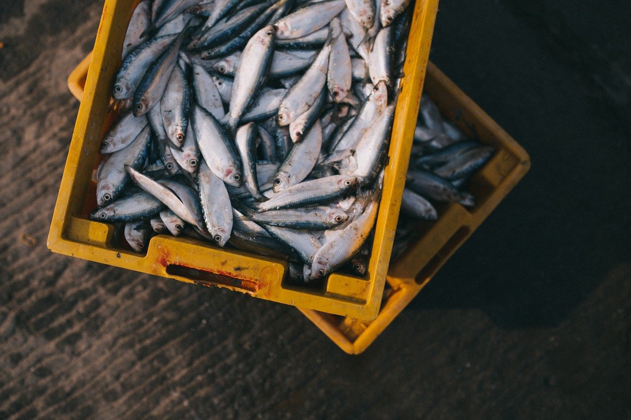 Mercado de pescados