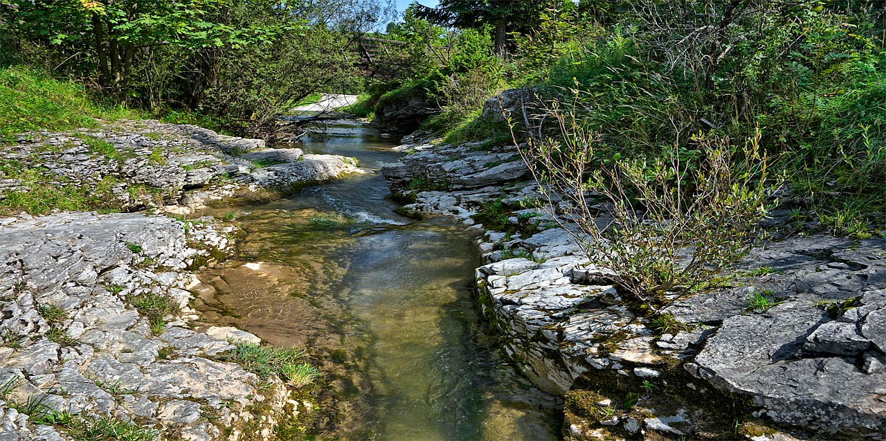Nascente de rio