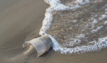 Poluição - mar