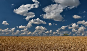 Agro - safra