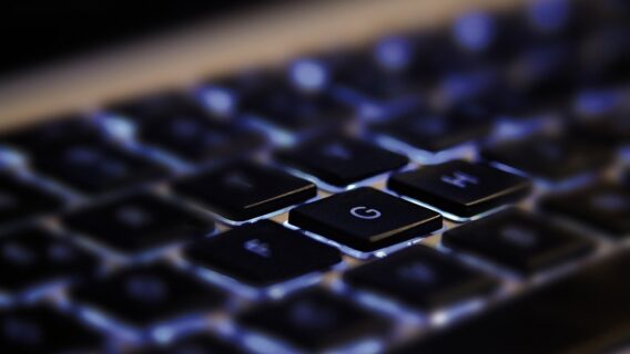 As dez profissões do universo blockchain