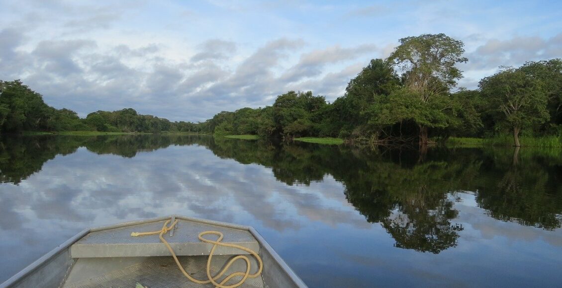 Amazônia ganha proteção de sua biodiversidade com a ajuda da tecnologia do bitcoin