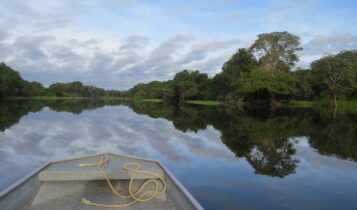 Tecnologia do Bitcoin preserva biodiversidade da Amazônia Amazônia ganha proteção de sua biodiversidade com a ajuda da tecnologia do bitcoin