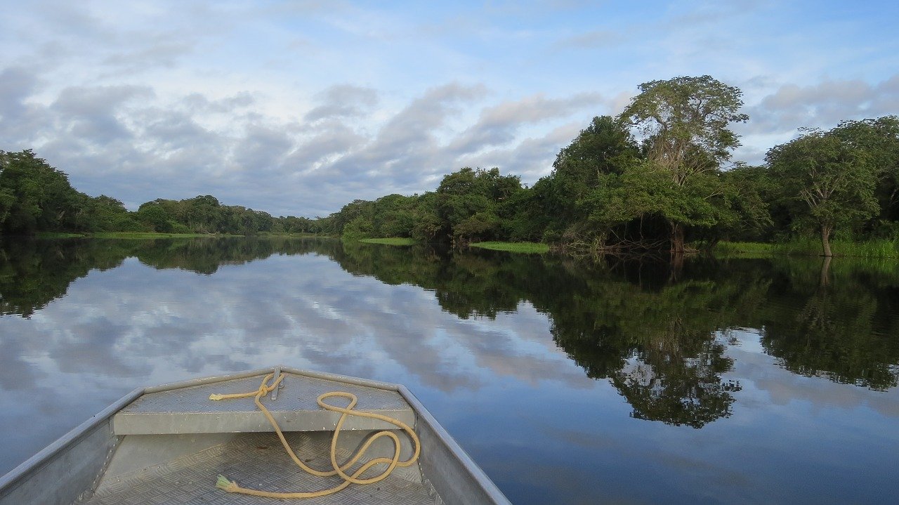 Amazônia ganha proteção de sua biodiversidade com a ajuda da tecnologia do bitcoin