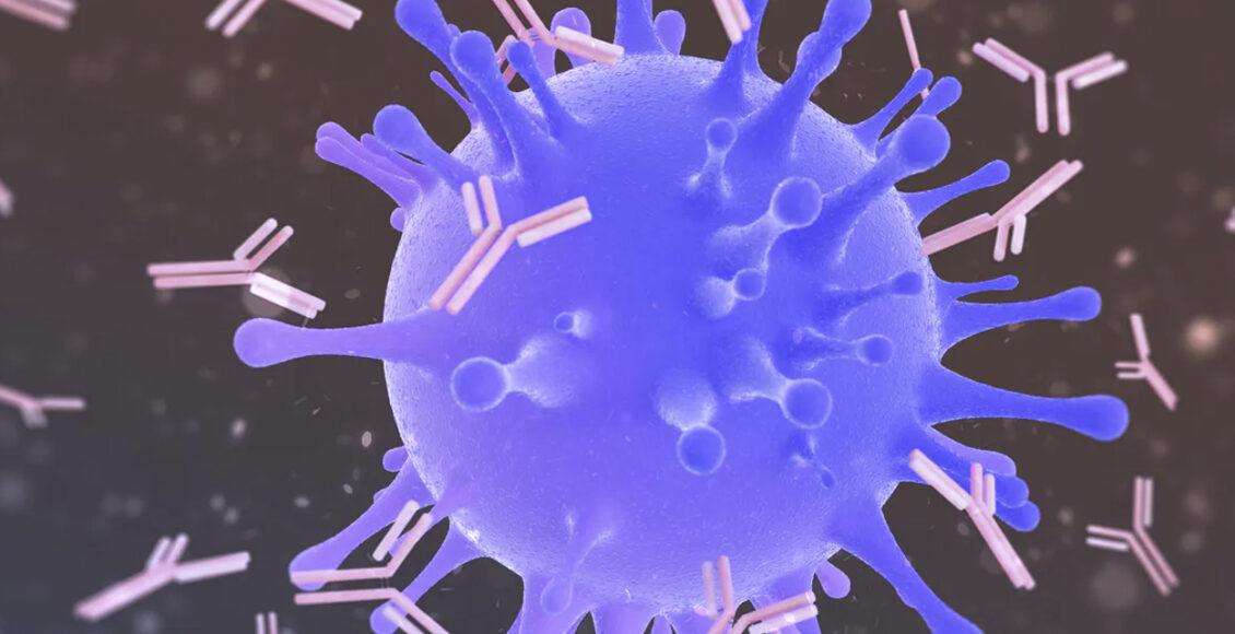 cientistas descobrem anticorpos que neutralizam coronavirus EUA