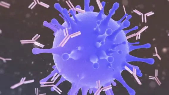 Cientistas descobrem anticorpos capazes de neutralizar Covid-19