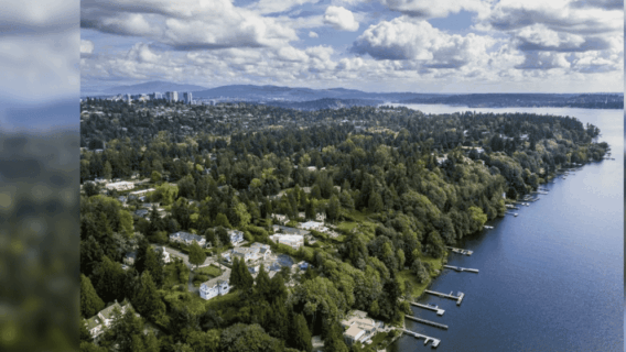 Medina, o oásis dos bilionários Bill Gates e Jeff Bezos