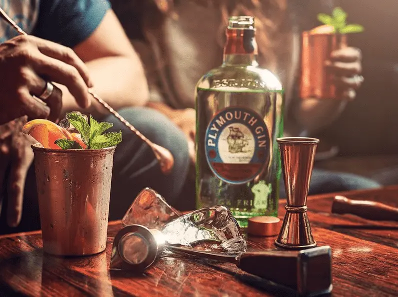 Imagem mostra garrafa de gin para receitas de gin 