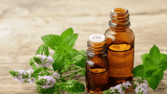 Aromaterapia: conheça o poder dos óleos essenciais naturais