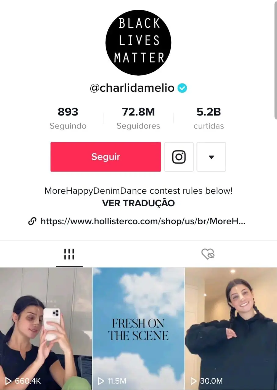 imagem mostra o perfil de harli no TikToker, com a foto dela em destaque e alguns vídeos