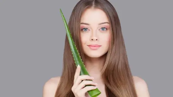 Babosa no cabelo é opção para hidratar os fios