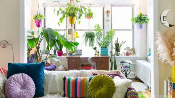 Plantas dentro de casa: saiba quais usar na decoração