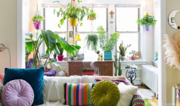 Plantas dentro de casa