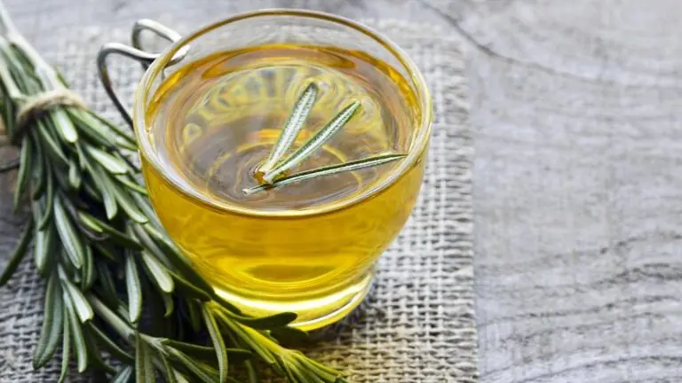 Chá de alecrim é digestivo e ajuda a eliminar o inchaço