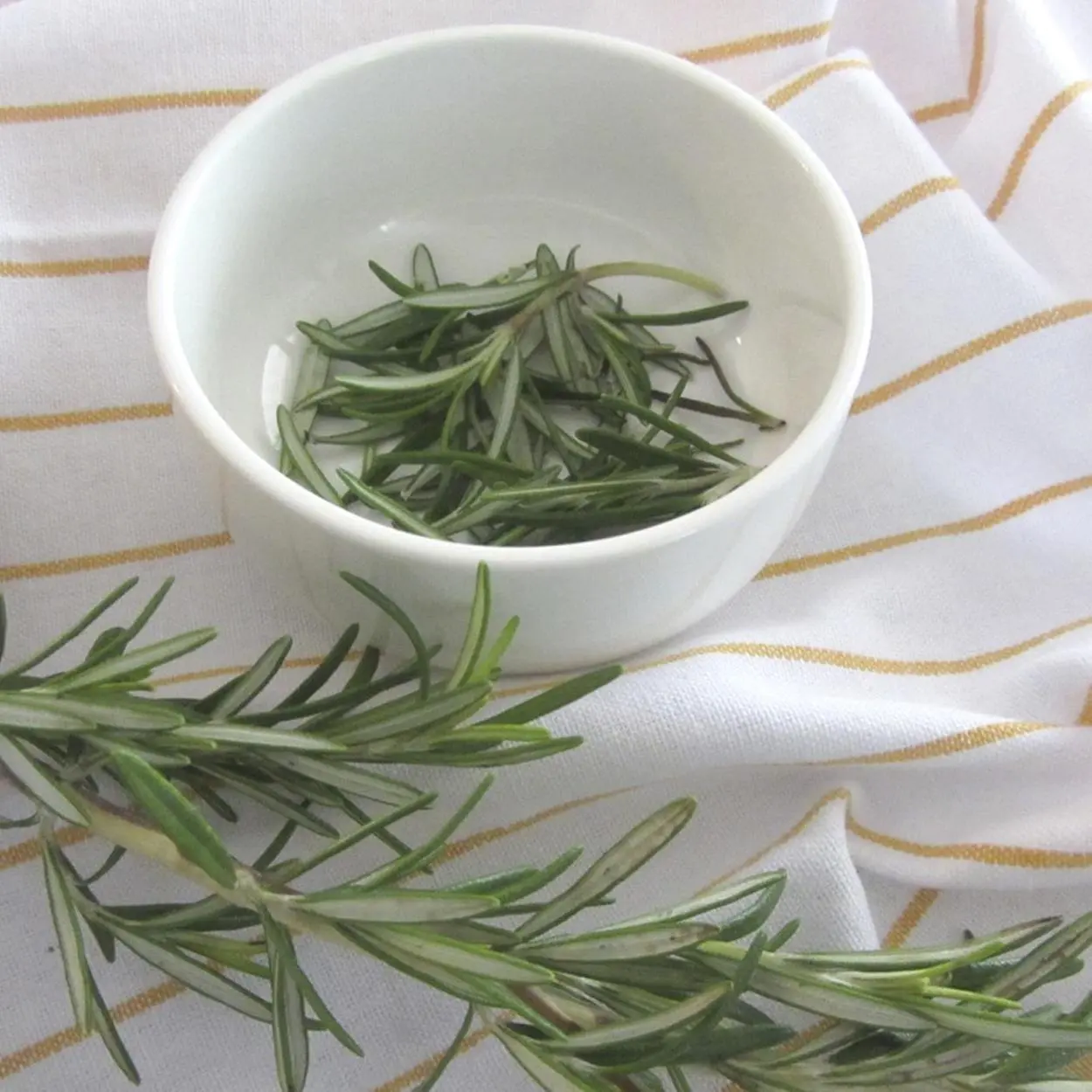 como tomar chá de alecrim