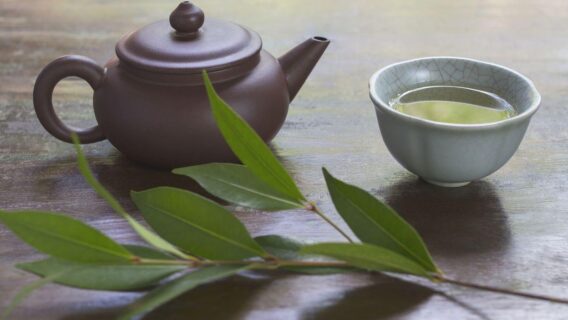 Chá de louro: confira os benefícios e aprenda a preparar