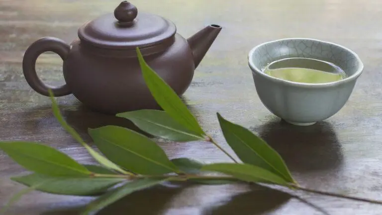 Chá de louro: confira os benefícios e aprenda a preparar