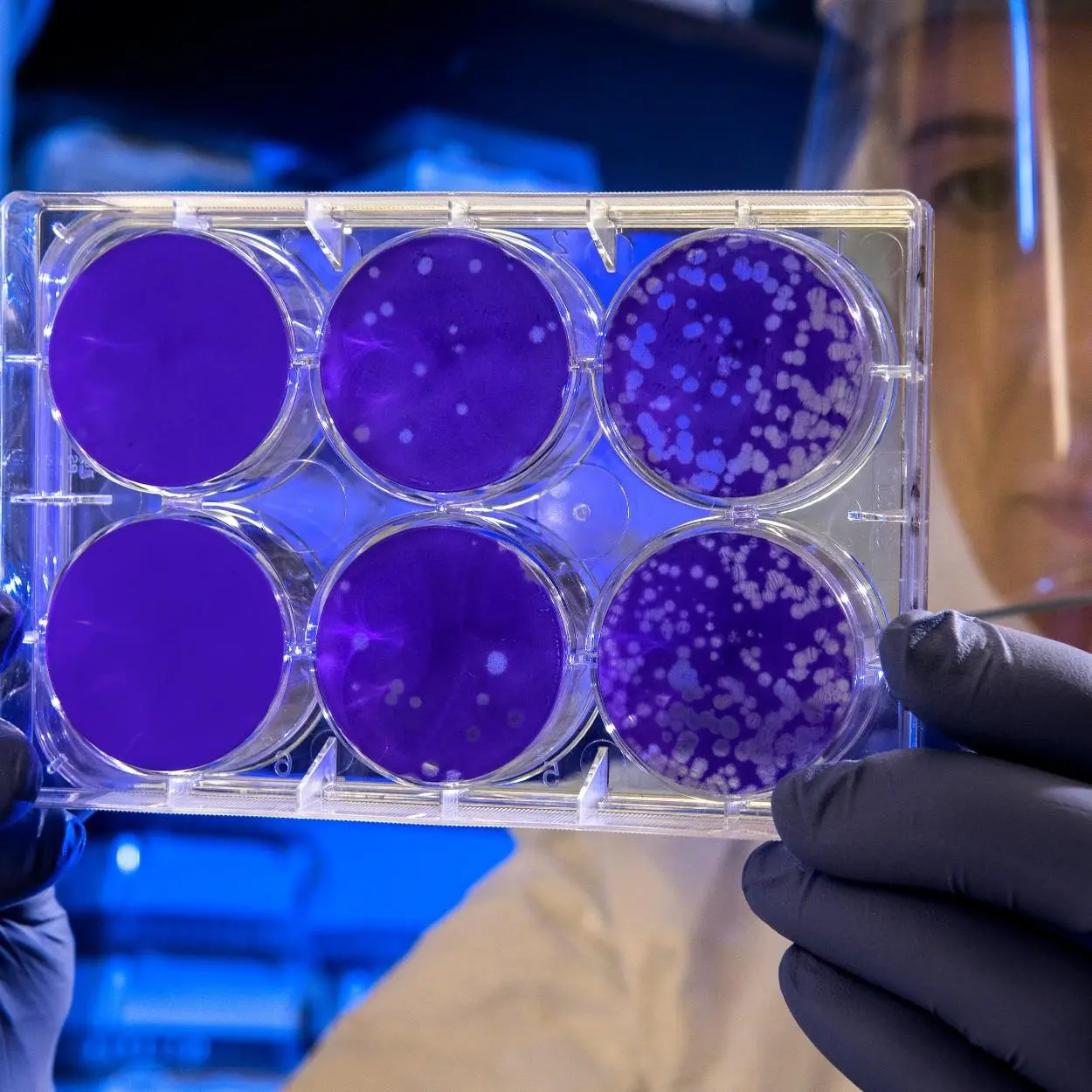 como surgiu o coronavírus 2