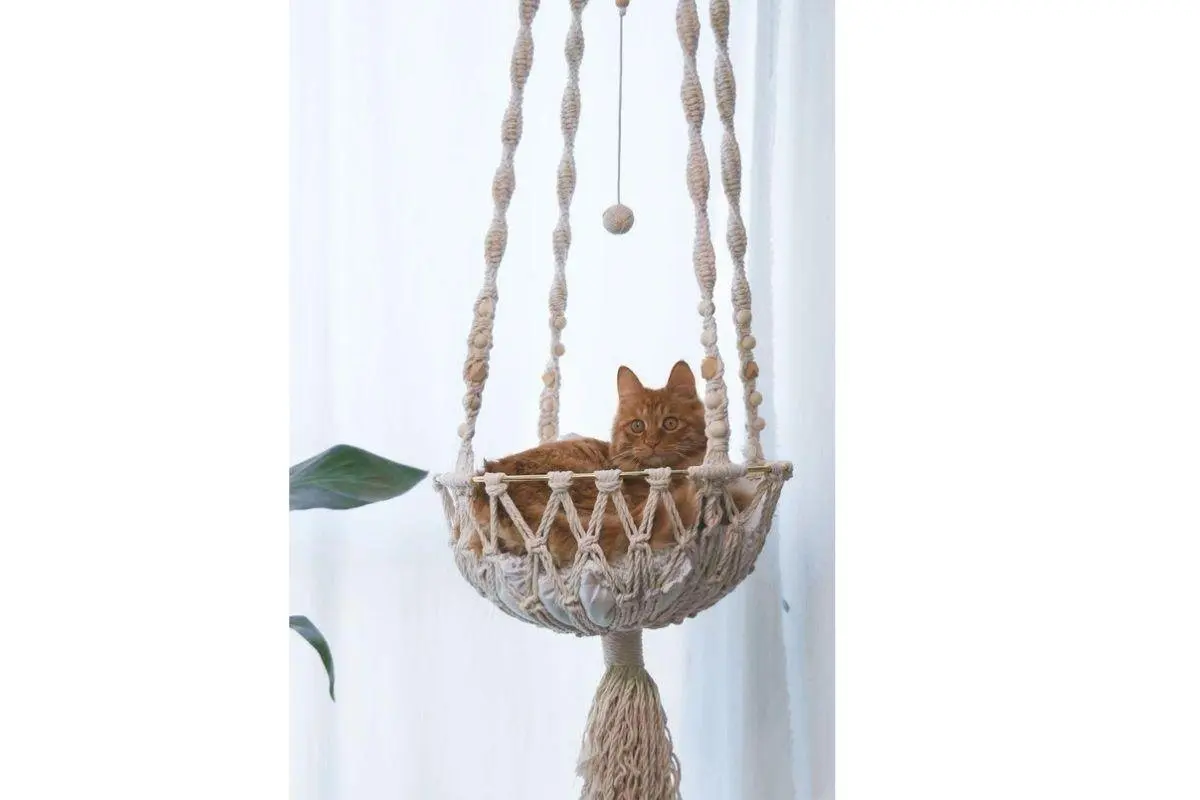 macramê passo a passo