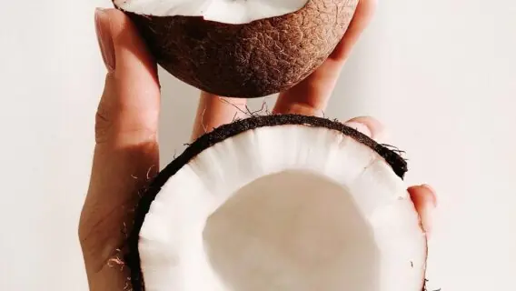 Óleo de coco na pele pode causar acne e comedões