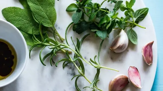 7 Plantas Medicinais Antivirais Fáceis de Encontrar