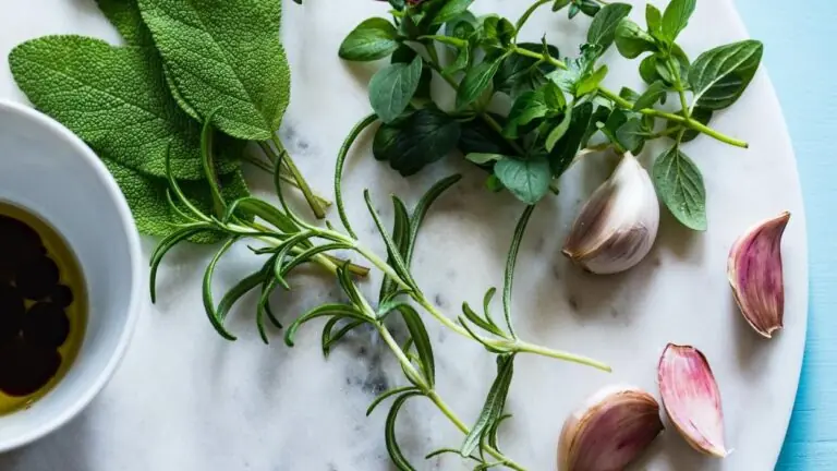 7 Plantas Medicinais Antivirais Fáceis de Encontrar