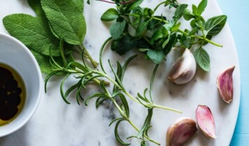 plantas medicinais antivirais