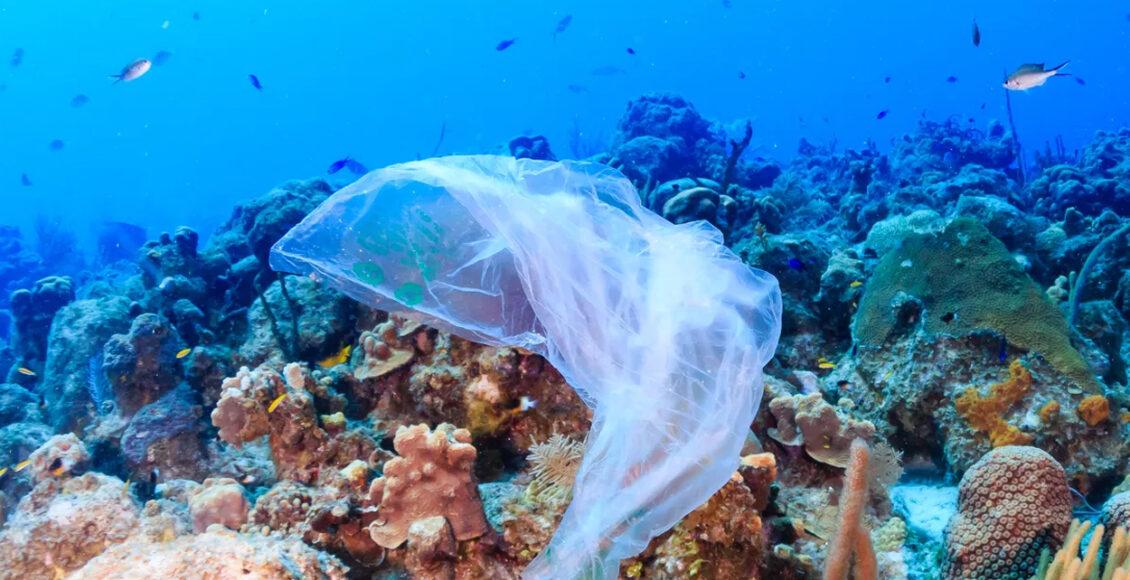 aumento do plástico nos oceanos