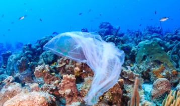 Plástico nos oceanos pode triplicar até 2040, aponta estudo aumento do plástico nos oceanos