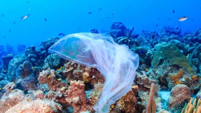 Plástico nos oceanos pode triplicar até 2040, aponta estudo