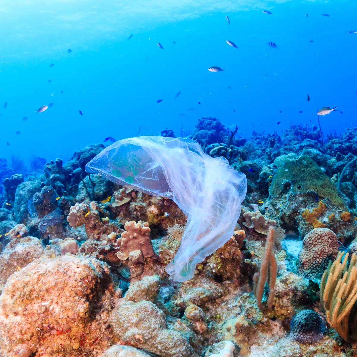 aumento do plástico nos oceanos