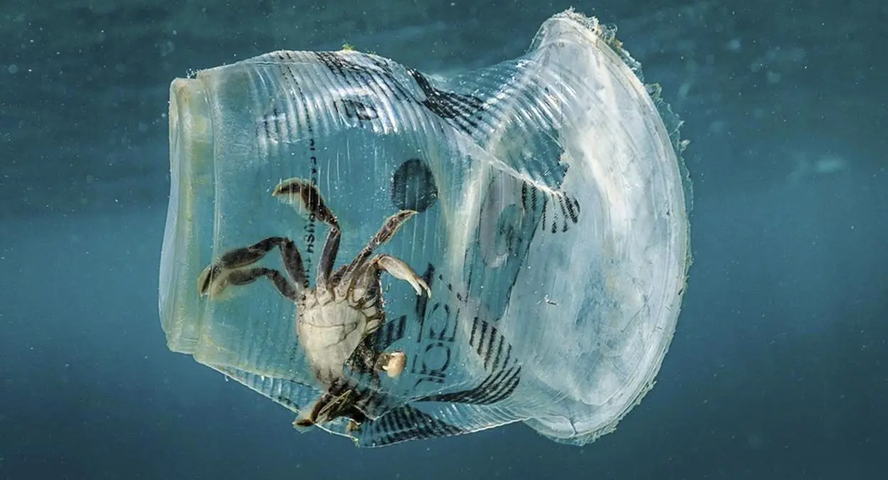 plastico nos oceanos deve triplicar até 2040