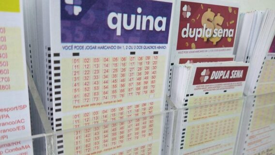 Quina: resultado do concurso 5326 – 29/07/2020
