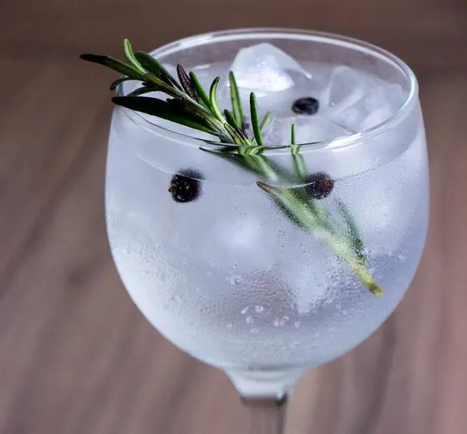 receitas de gin