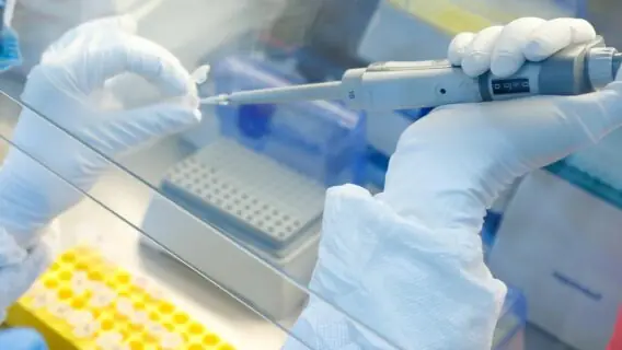 Vacina russa para o Covid-19 pode ser aprovada em agosto