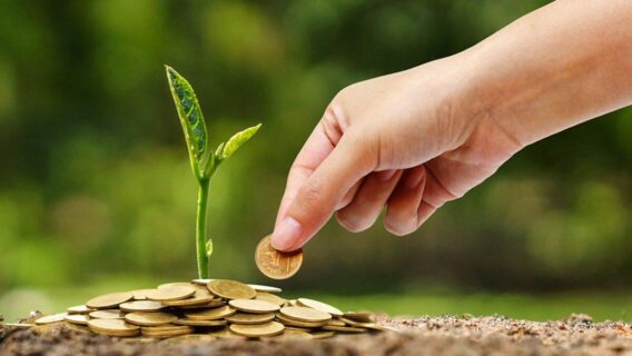 Economia verde: o que é e vantagens que o Brasil teria ao implantá-la