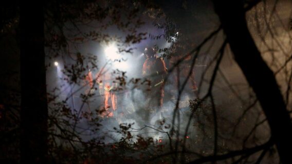 Incêndio na Califórnia destrói 4,25 mil hectares de floresta em Los Angeles