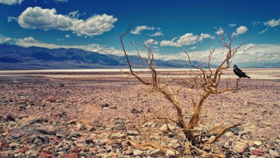 Vale da Morte, nos EUA, atinge a temperatura mais alta da Terra: 54,4 °C