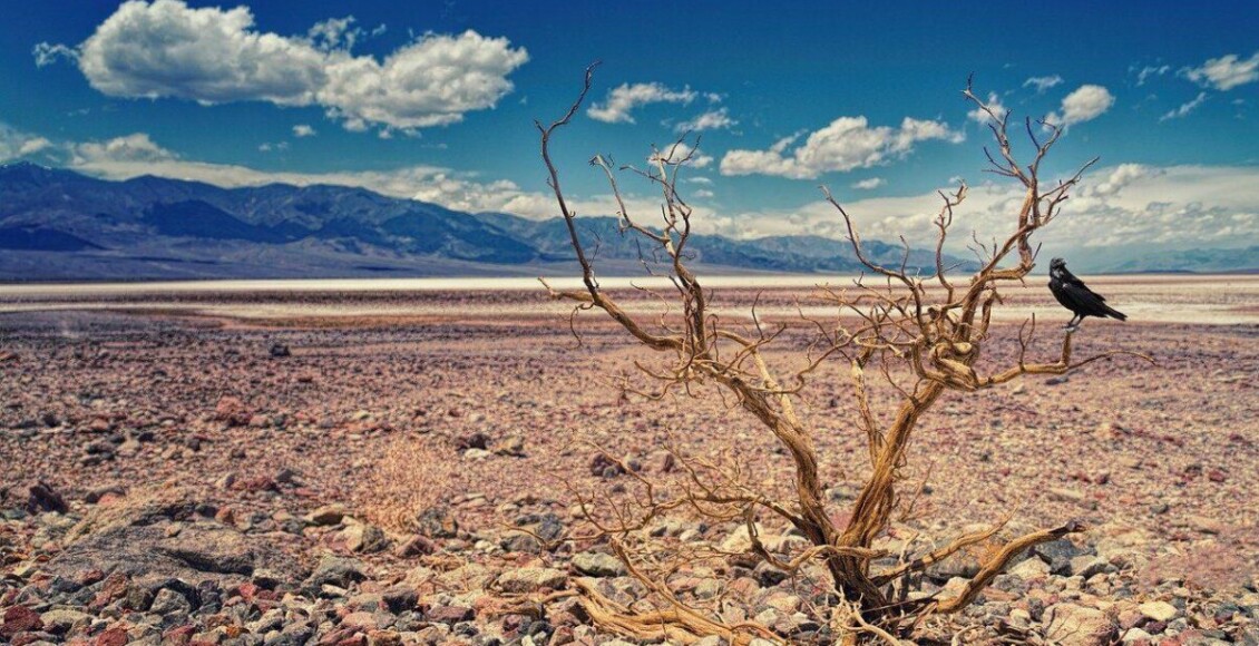 A temperatura mais alta da Terra