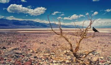 A temperatura mais alta da Terra