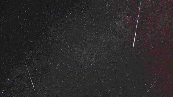 Chuva de meteoros Perseidas acontece esta semana