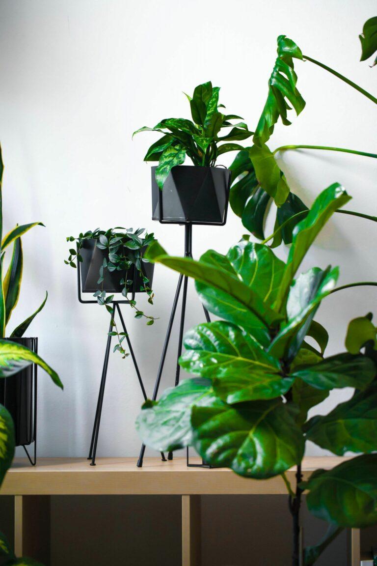 Ideias para mudar o visual da sua casa sem gastar muito
